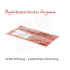 Begleitpapiertaschen | Pergamin (neutral oder mit Aufdruck)