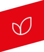 Klimaneutrales Unternehmen